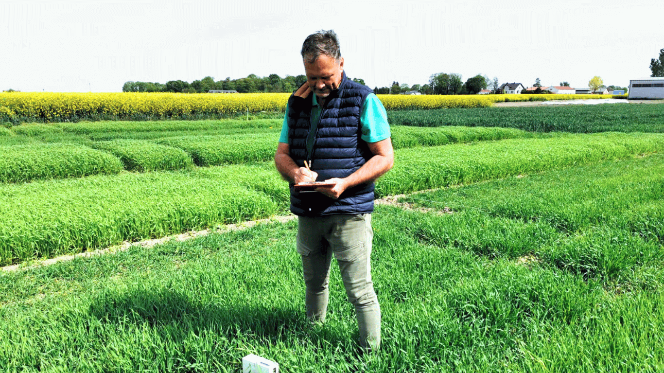 Pomiary cech fizycznych gleby